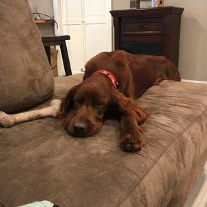 Meet your Posher, Carla